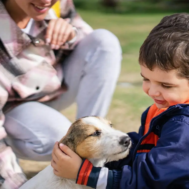 Kind met een hond